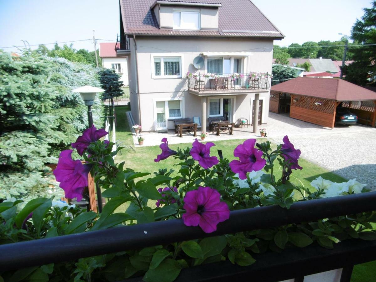 Pokoje U Elzbiety Homestay Leba